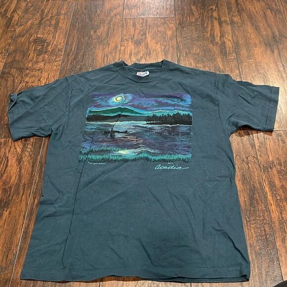 ACADIA NATIONAL PARK VTG t shirt Bar Harbor MAINE Hanes beefy -T Tee Large 1992 - Picture 1 of 11
